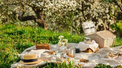 Low-cost gear for relaxed summer picnics and park days