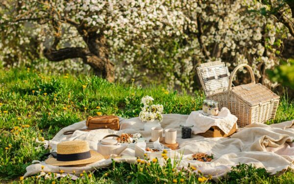 Low-cost gear for relaxed summer picnics and park days