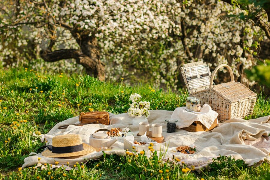 Summer picnic blanket food basket park