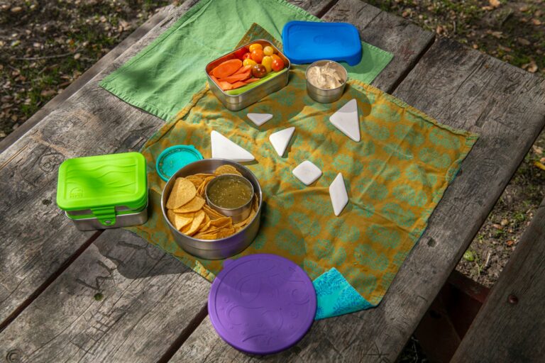 Picnic food containers reusable cutlery family playing frisbee