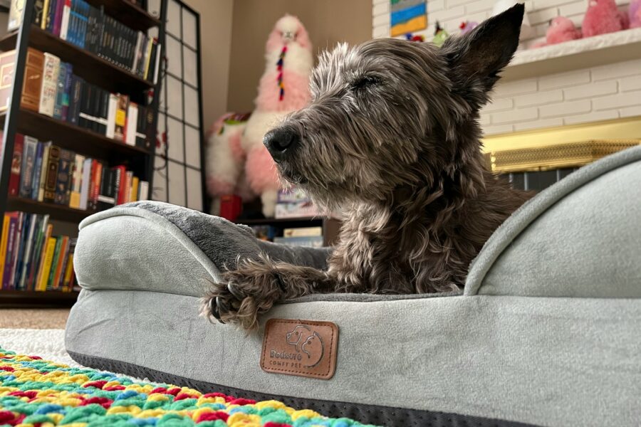 Living room dog pet bed washable rug