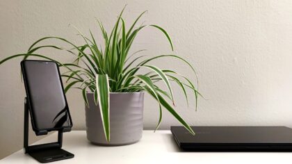 Portable Bluetooth speakers that fit both your home and weekend bag