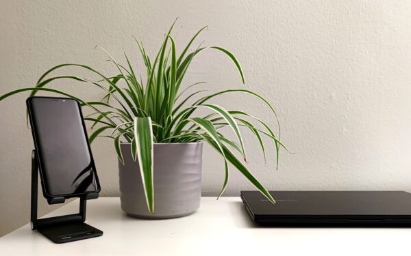 Portable Bluetooth speakers that fit both your home and weekend bag