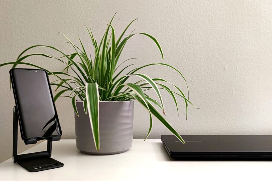 Portable bluetooth speaker desk plant