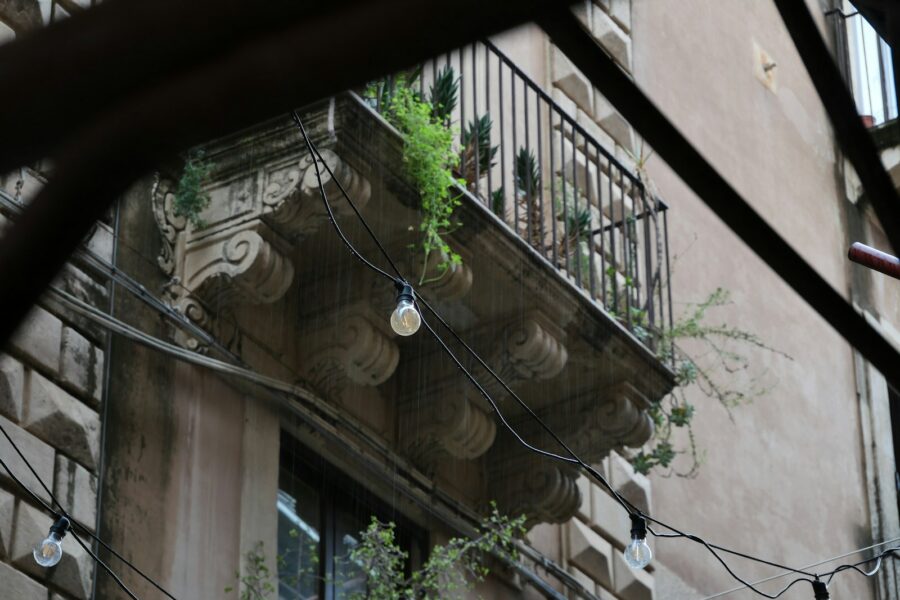 Cozy summer balcony string lights plants