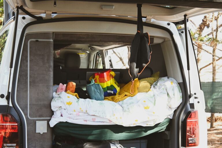 Backseat car organizer kids toys