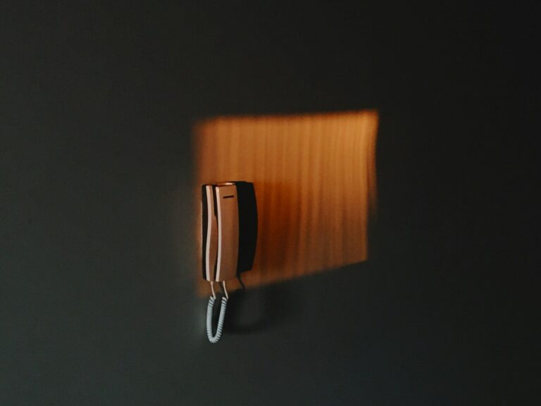 Wall mounted key holder mail organizer