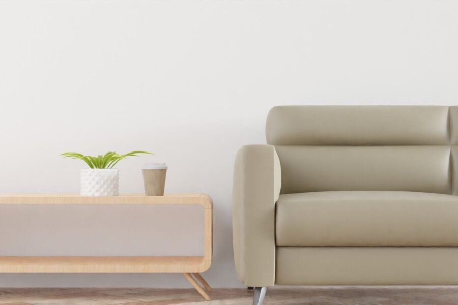 Minimal living room