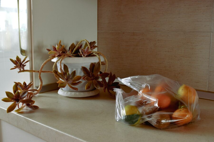 Silicone food bags
