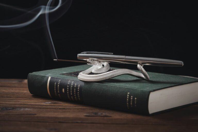 Rechargeable clip reading