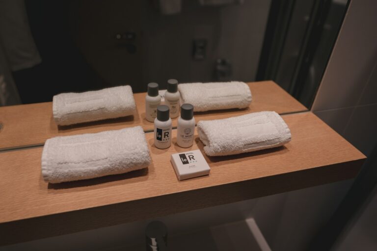 Minimalist shower shelf