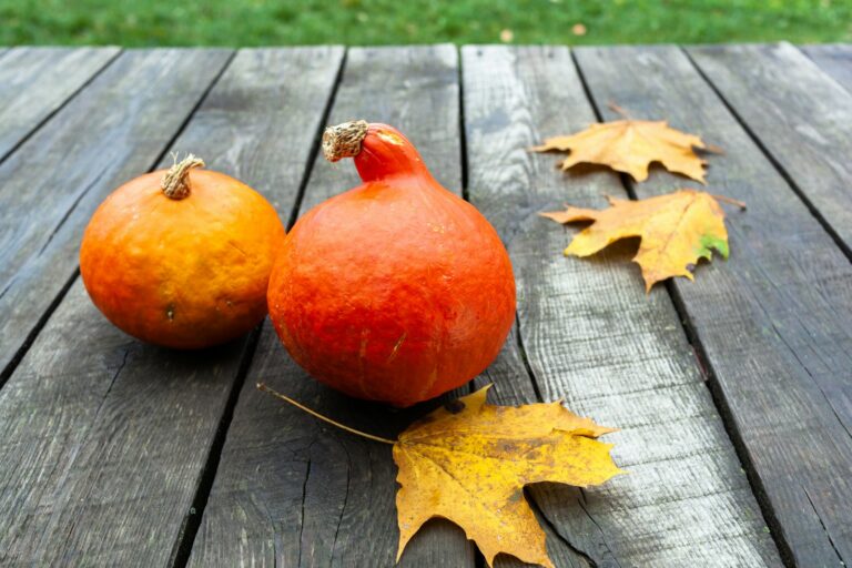 Autumn skincare products