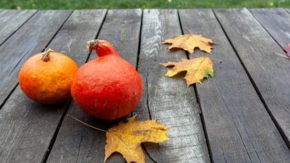 Practical autumn grooming swaps that keep your skin and hair comfortable in colder weather