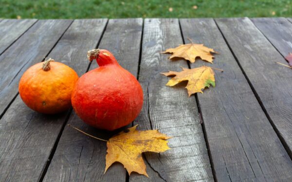 Practical autumn grooming swaps that keep your skin and hair comfortable in colder weather