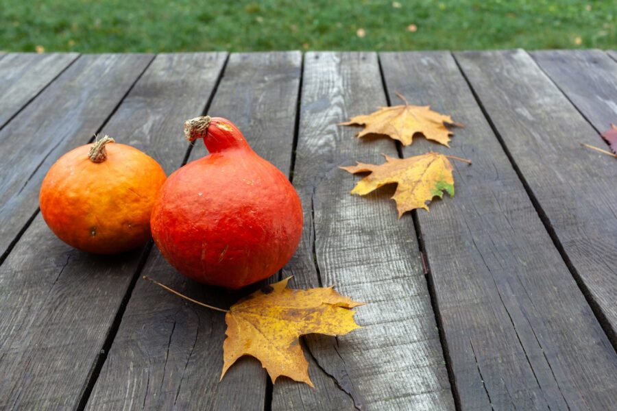 Autumn skincare products