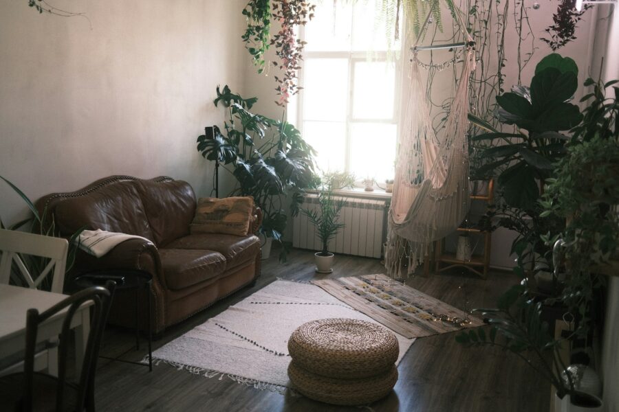 Cozy rental living