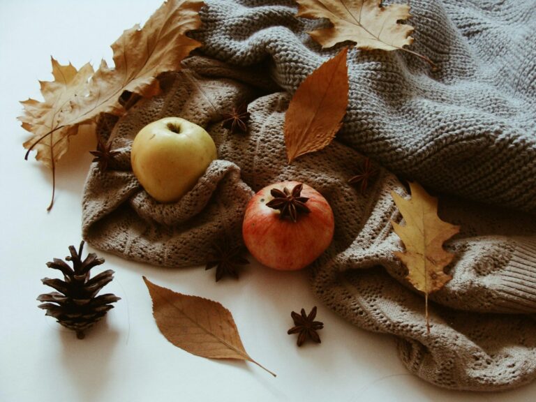 Autumn flatlay grooming