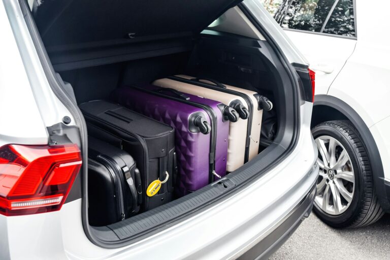 Foldable trunk organizer