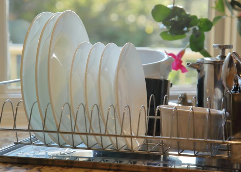 Kitchen sink dish