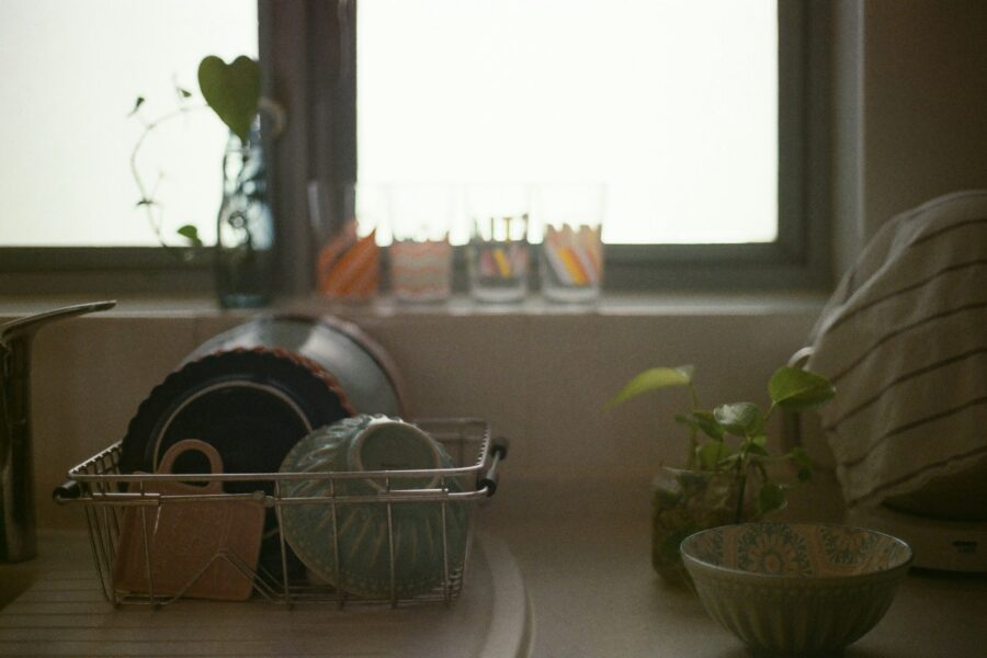 Kitchen sink dish