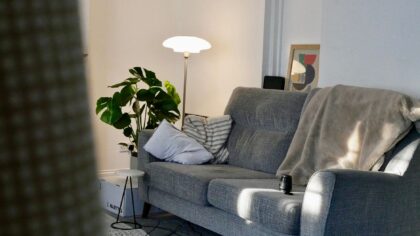 Soft essentials that make a rental feel like home without risking your deposit