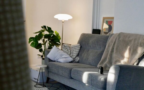 Soft essentials that make a rental feel like home without risking your deposit
