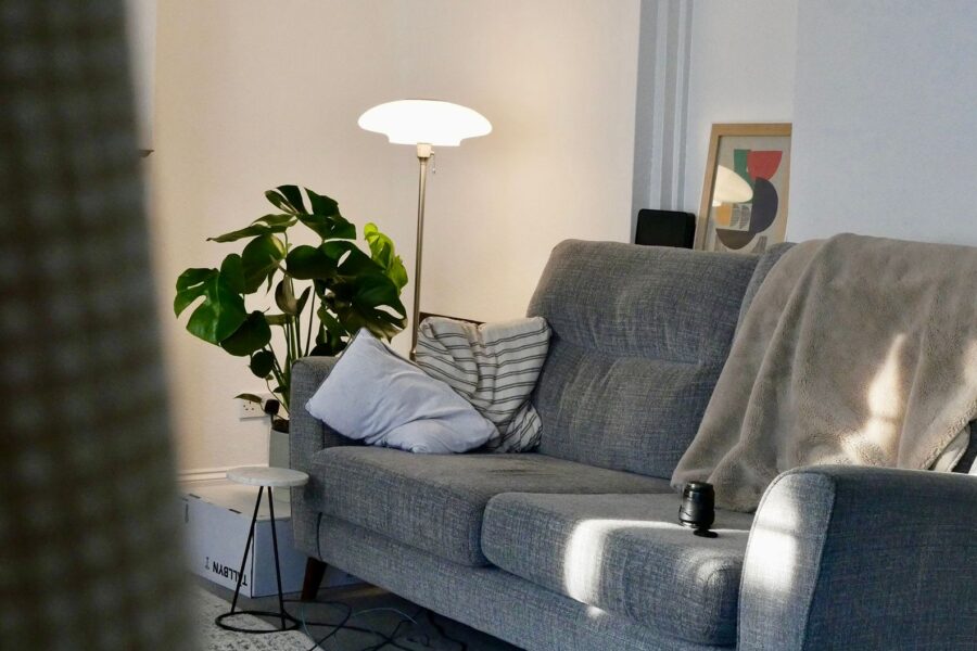 Cozy rented living