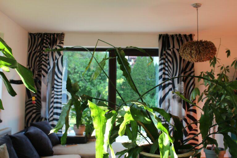 Summer living room